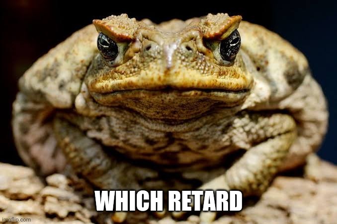4dzcep.jpg