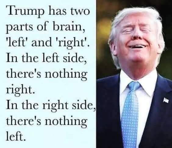548662319_1287603296804575_1663061718676707538_n.jpg