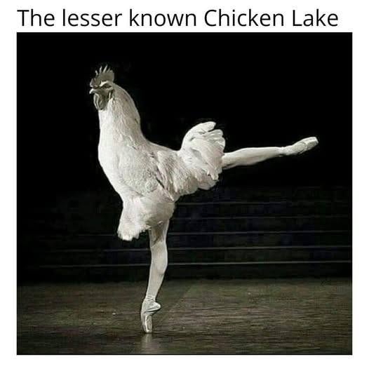819802891_122118044271440777_5055860720153283019_n.jpg