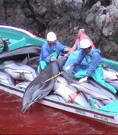 99523e8c02e85dd311e2d7370072afa0--taiji-change-org.jpg