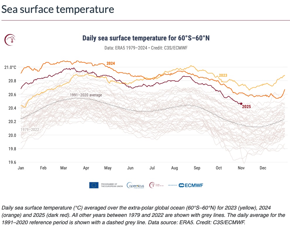 Copernica_Oct_2025_sea_surface_temps.jpg