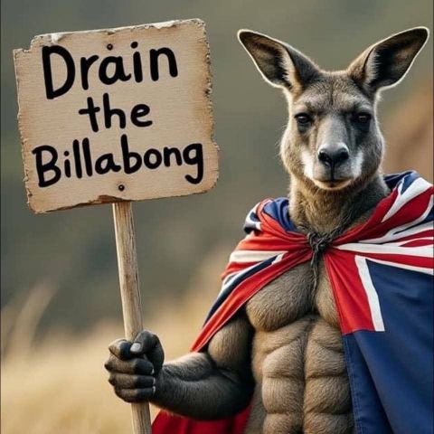 Drain_the_billabong__009.jpg