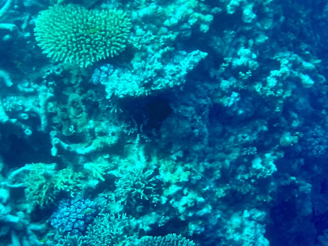E2578C67-89EB-4EF2-B3F4-579D9C40AB45.jpeg