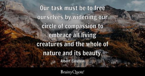 Einstein_1.jpg
