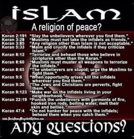 FB_IMG_1742677134742.jpg