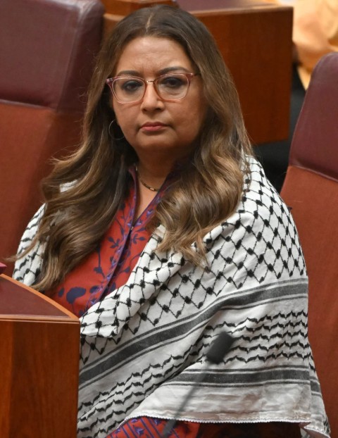 Faruqi_Keffiyah_in_parliament__.jpg
