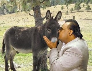 Funny_Donkey_Kissing_1.jpg