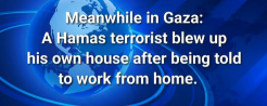 Gaza_Home_worker.png