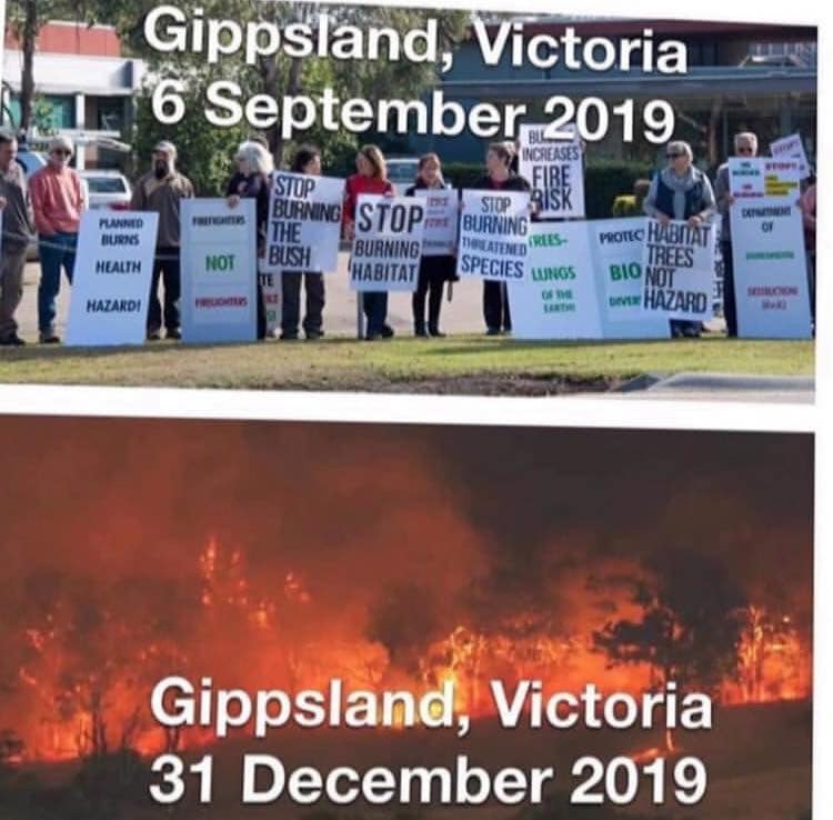Green_Protesters__001.jpg