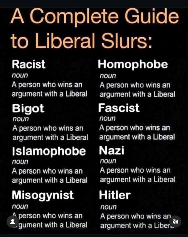 Guide_to_Liberal_slurs.jpg