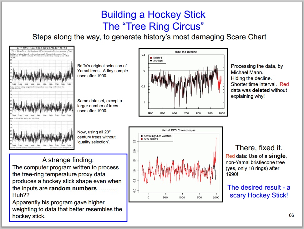 Hockey_stick_tree_ring_circus.jpg