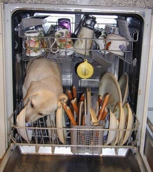 Inner_Workings_of_a_Dishwasher.jpg