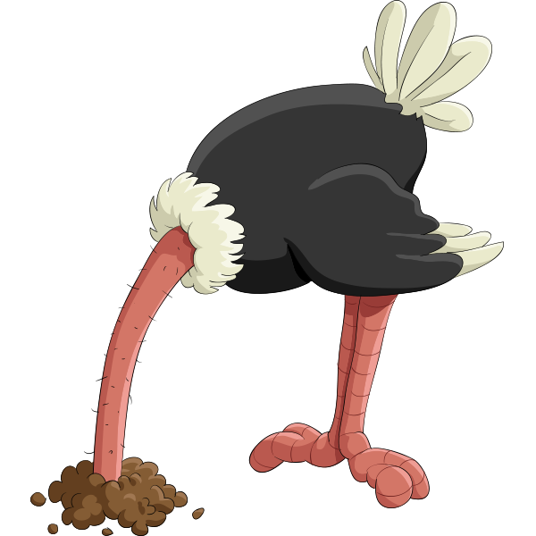 Ostrich.png