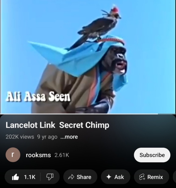 Screenshot_20240309-160050_YouTube.jpg