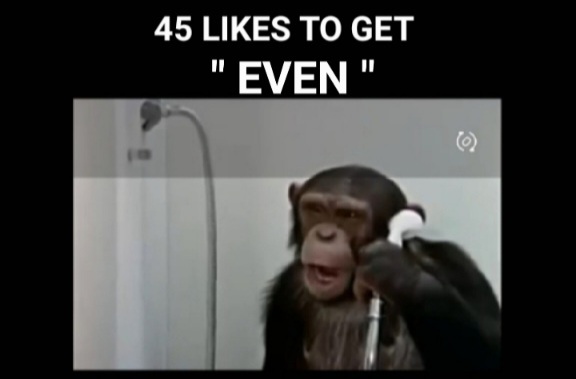 Screenshot_20240320-193500_Photo_Editor.jpg