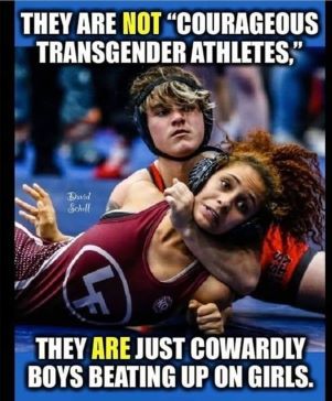 Trannies_24.jpg