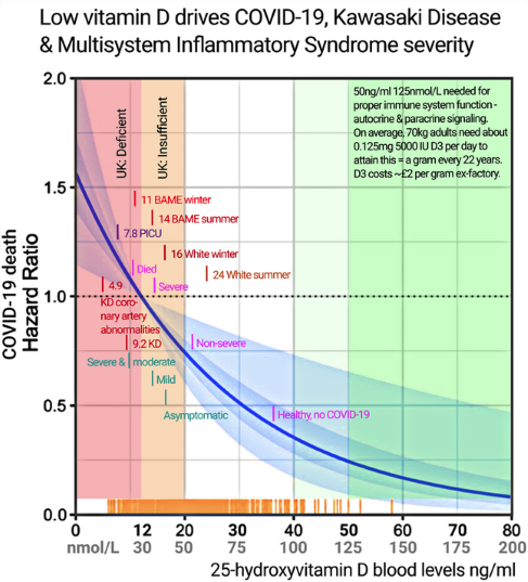 Vit_D3_001.png