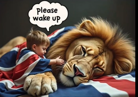 Wake_up.png