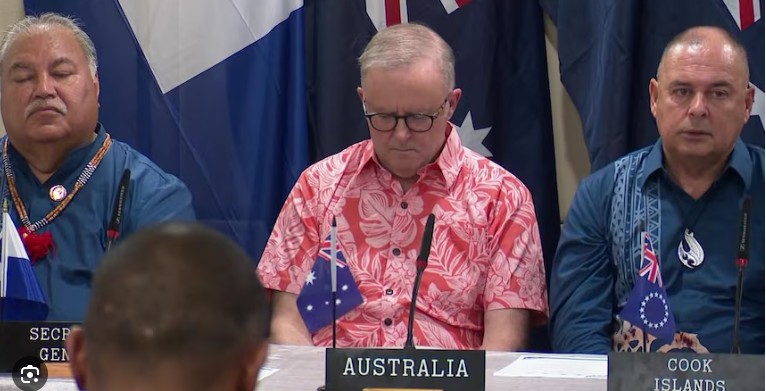 Wrong_Shirt_Albo_.jpg