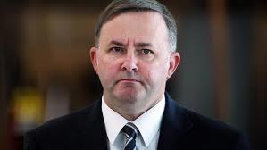 albanese.jpg
