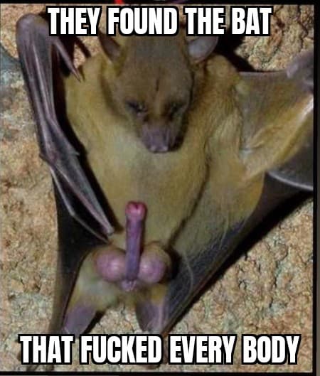 bat.jpg