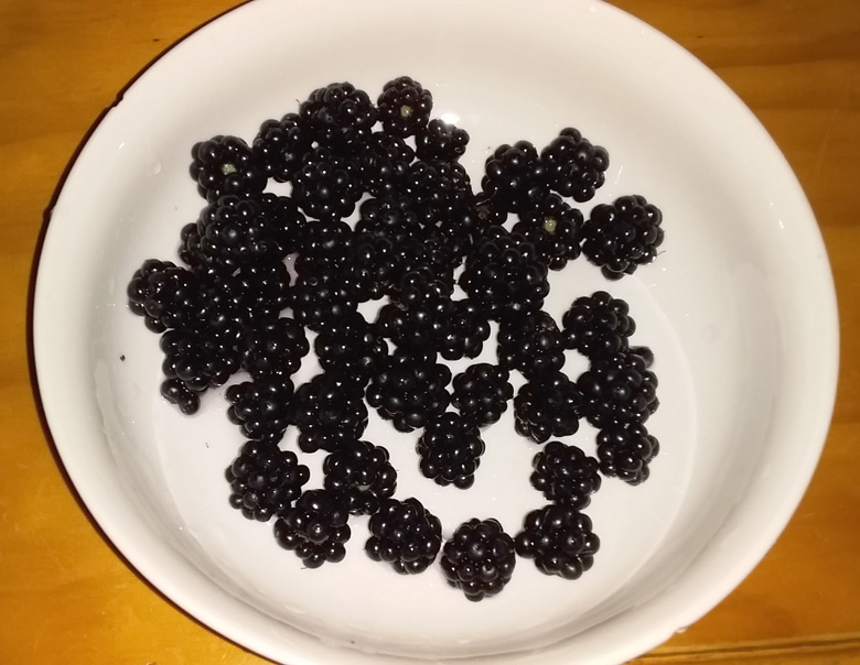 blackberries.jpg