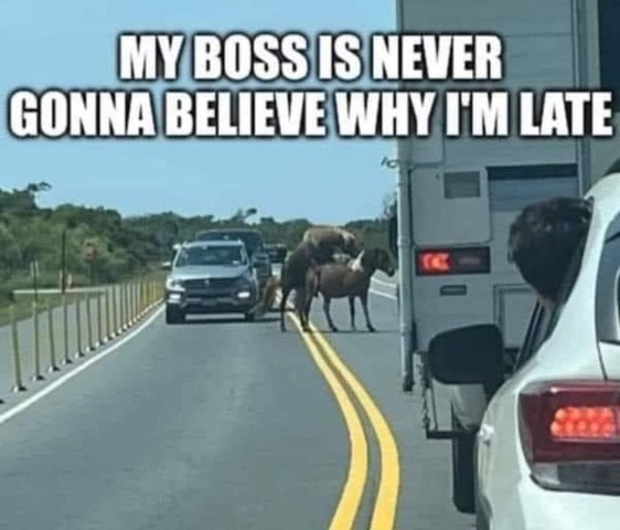 boss-is-never-gonna-believe-why-im-late-454336924.jpg