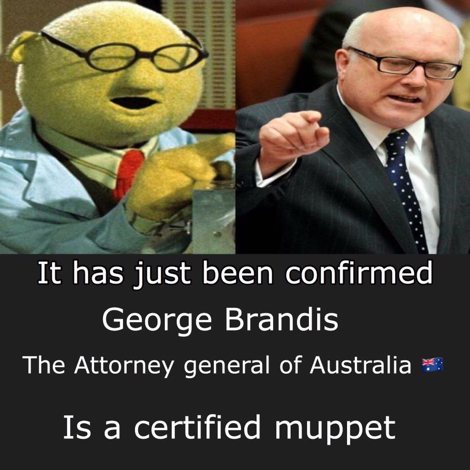 brandis.jpg