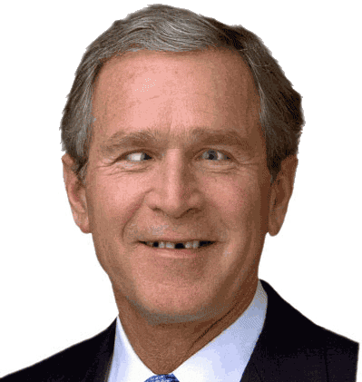 bush1.gif