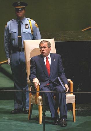 bushchair_001.jpg