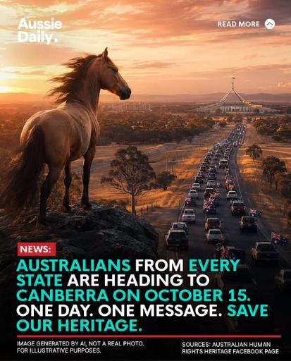 canberra_brumby_rally.jpg