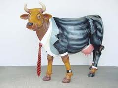 cow.jpeg