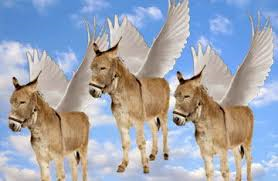 donkeyculture.png
