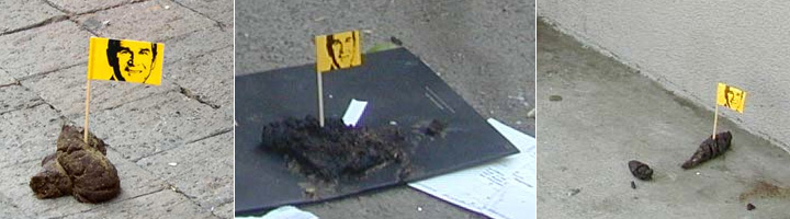 ds_ds_bush2.jpg