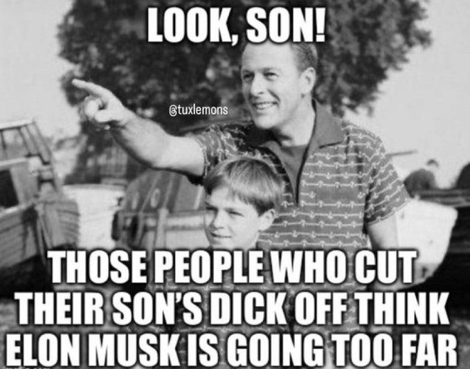 elon_003.jpg
