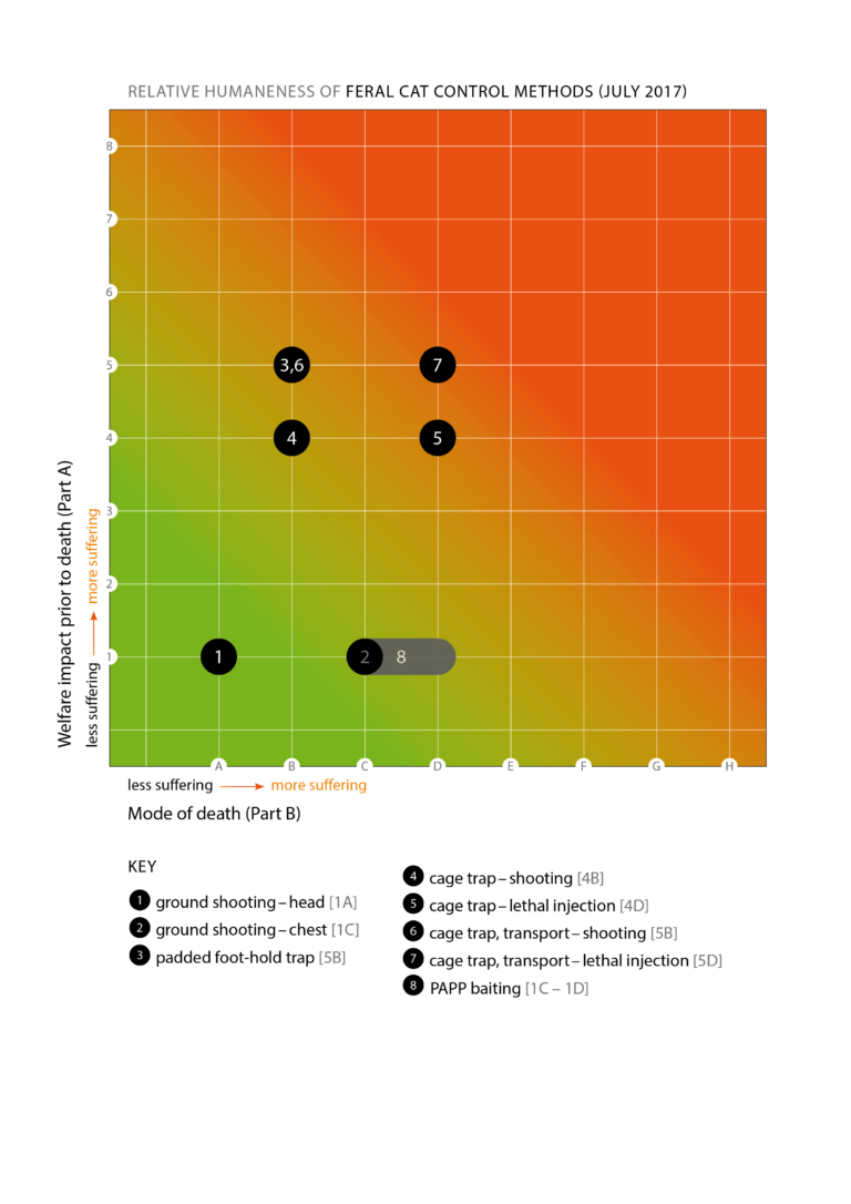 feral-cat-matrix-768x1086.png