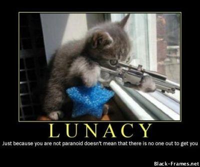 lunacy-just-because-you-are-not-paranoid-doesn-t-mean-that-there-is-.jpg