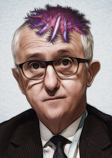 malcolm-turnbull-great-barrier-reef.jpg