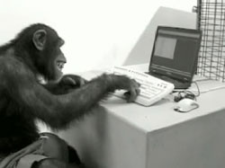 monkey-on-computer_1__004.jpg