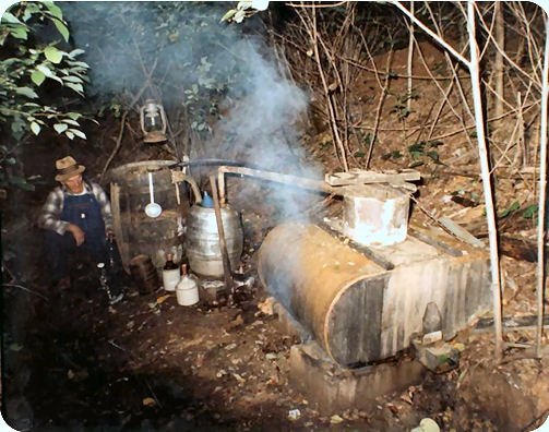 moonshine.jpg