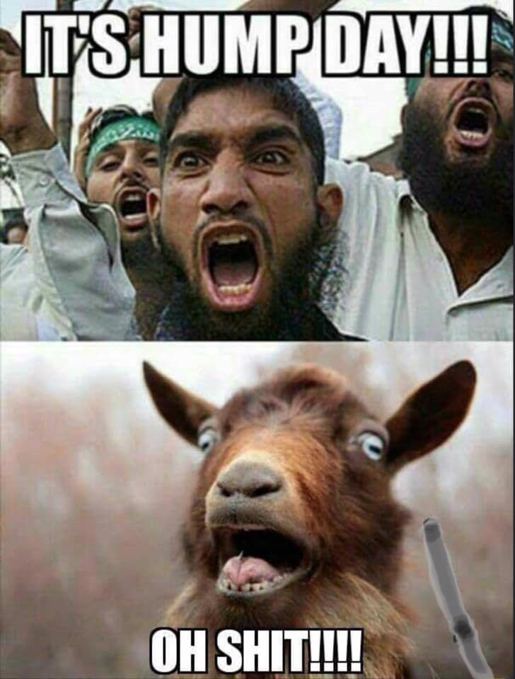 muzzo_love_goats_002.jpg