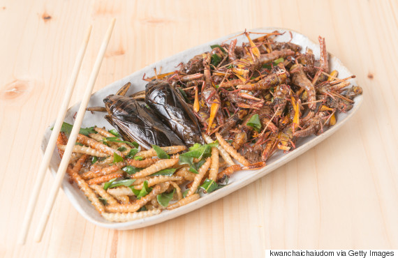o-CRICKET-MEAL-570.jpg