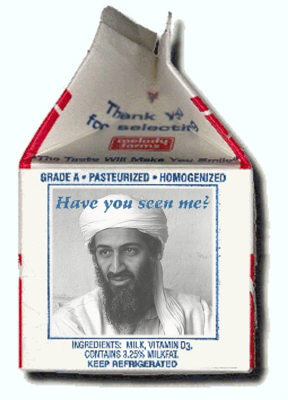 osama_missing.jpg