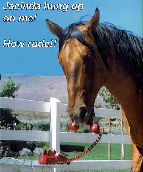 photo_horsephone.jpg