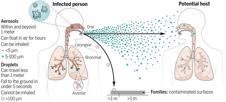 science_abd9149-fav_009.jpg