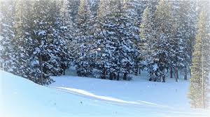 snow.jpg