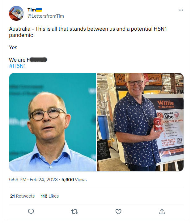 timtweet.jpg
