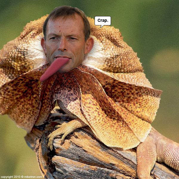 tony_abbot_no_frills_001.jpg