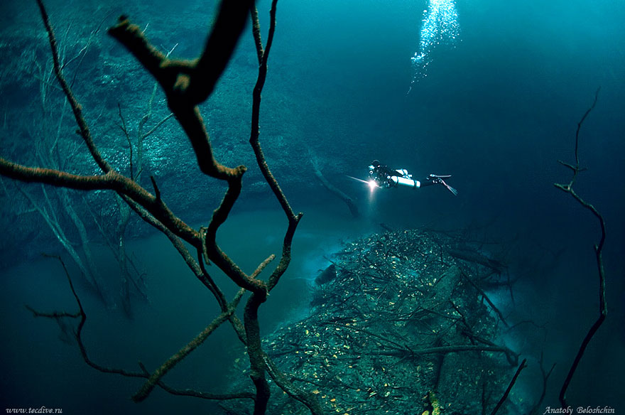 underwater-river-cenote-angelita-mexico-8_001.jpg