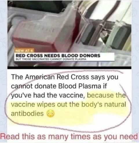 vax_blood_001.jpg